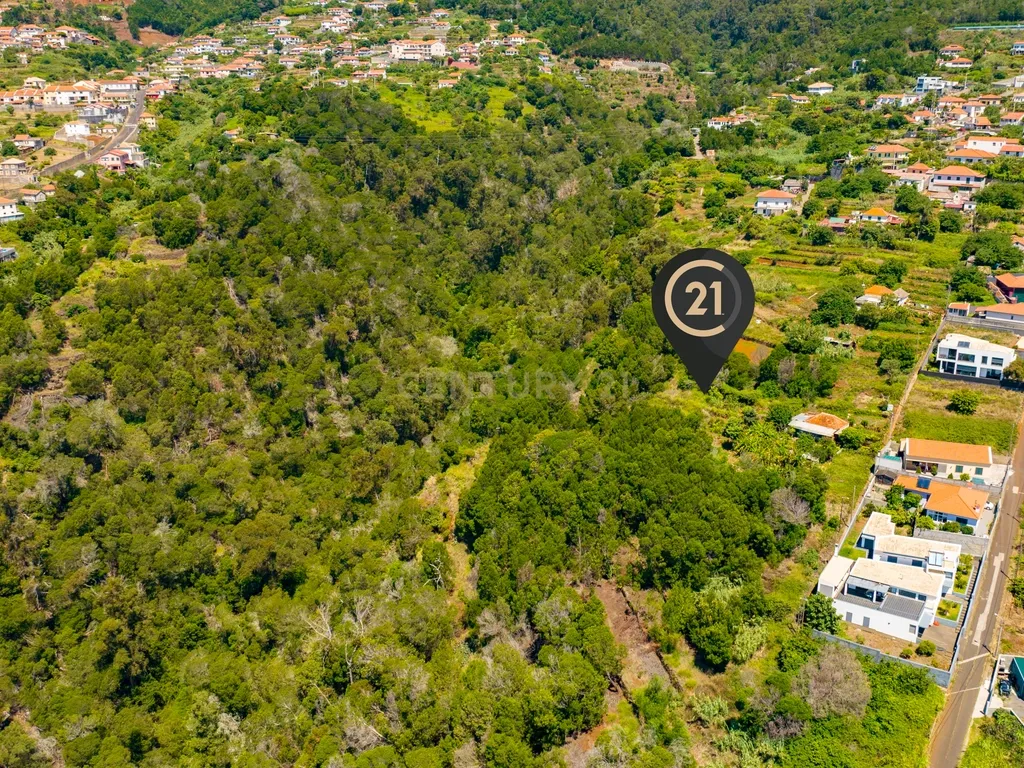 🌿 Terreno 640 m2 Rústico-Agrícola nas Eiras - R 190 - Santa Cruz, Madeira - Image 4