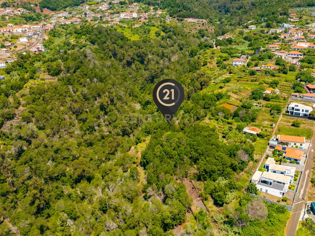 Terreno Agrícola de 850 m2 - Eiras, Santa Cruz, Madeira - Image 9