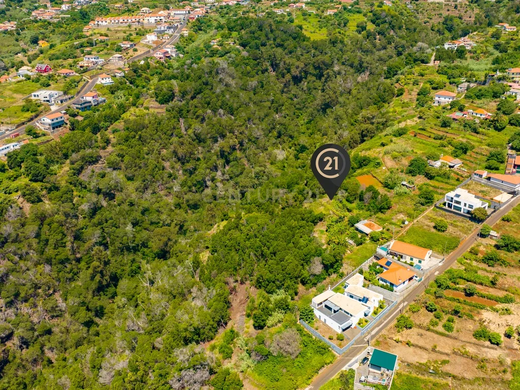 🌿 Terreno 640 m2 Rústico-Agrícola nas Eiras - R 190 - Santa Cruz, Madeira - Image 6