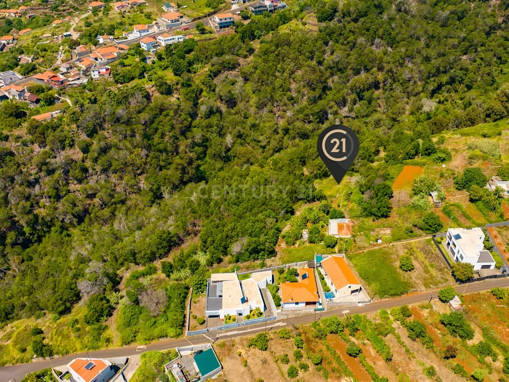 🌿 Terreno 640 m2 Rústico-Agrícola nas Eiras - R 190 - Santa Cruz, Madeira - Image 5