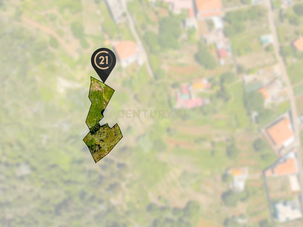 Terreno Rústico - Eiras, Santa Cruz, Madeira - Image 3