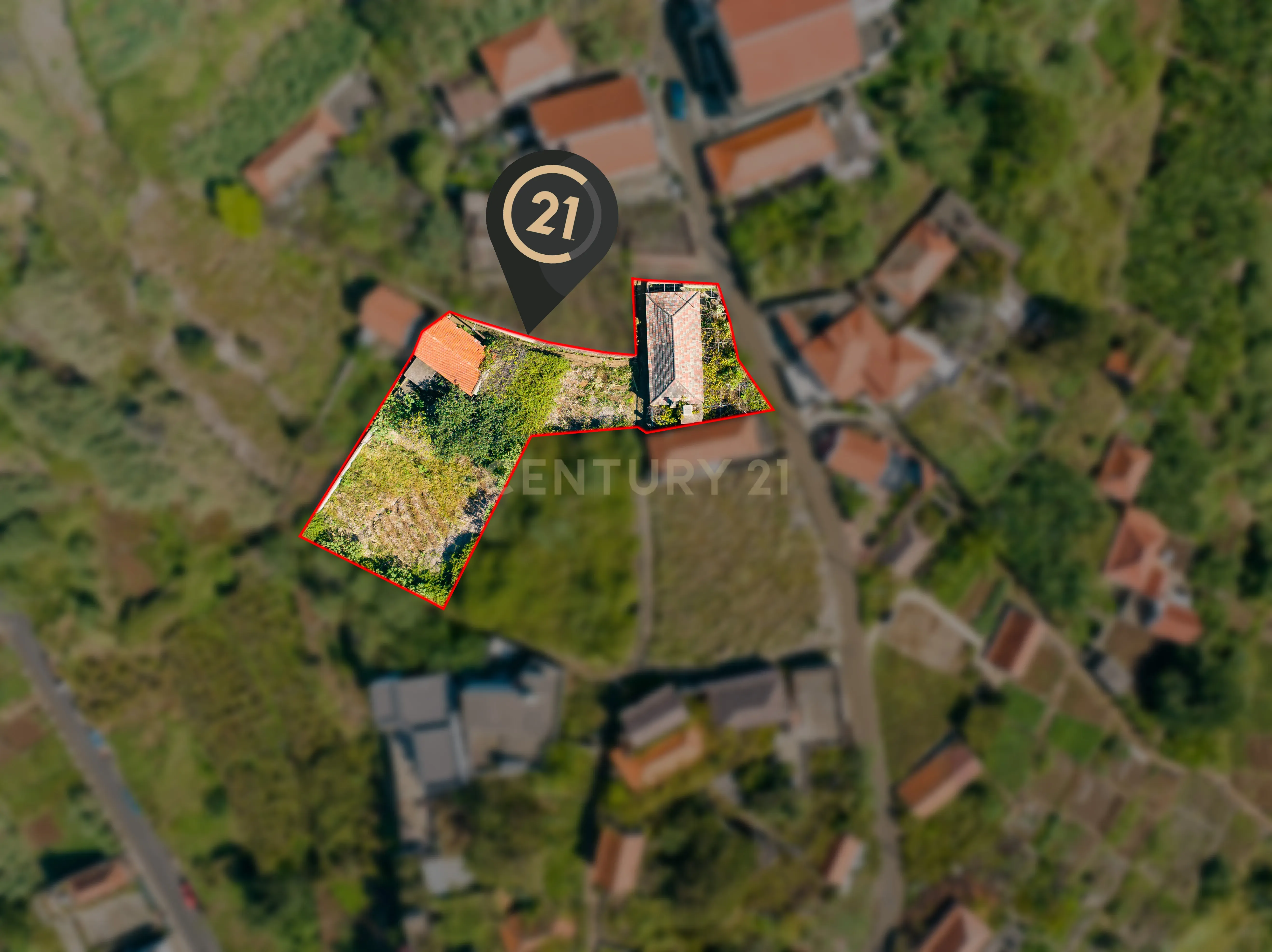 Terreno de 733 m² com Casa e Palheiro para Renovar - Calheta, Madeira - Image 4