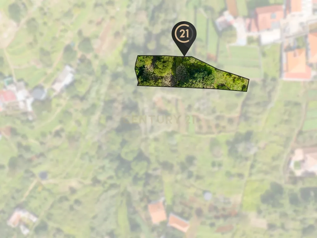 Terreno Rústico Agroflorestal de 900 m2 - Santa Cruz, Madeira - Image 2