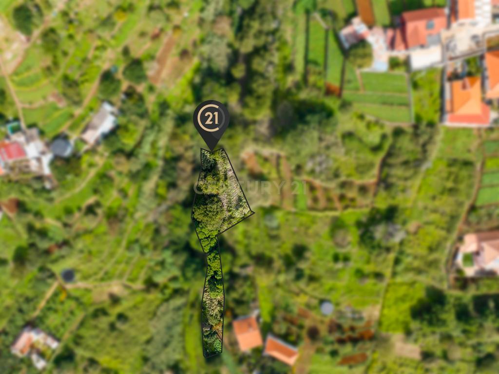 Terreno Rústico Agroflorestal de 730 m2 - Santa Cruz, Madeira - Image 7