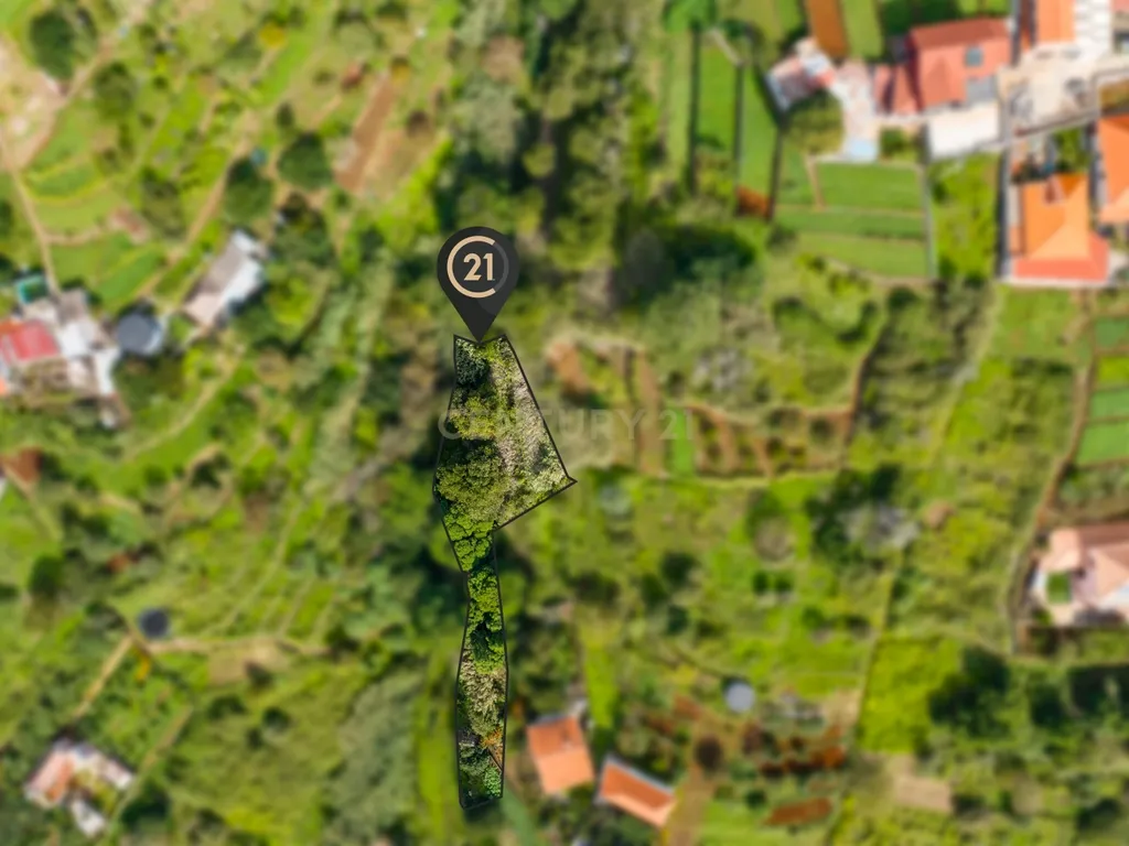 Terreno Rústico Agroflorestal de 730 m2 - Santa Cruz, Madeira - Image 7
