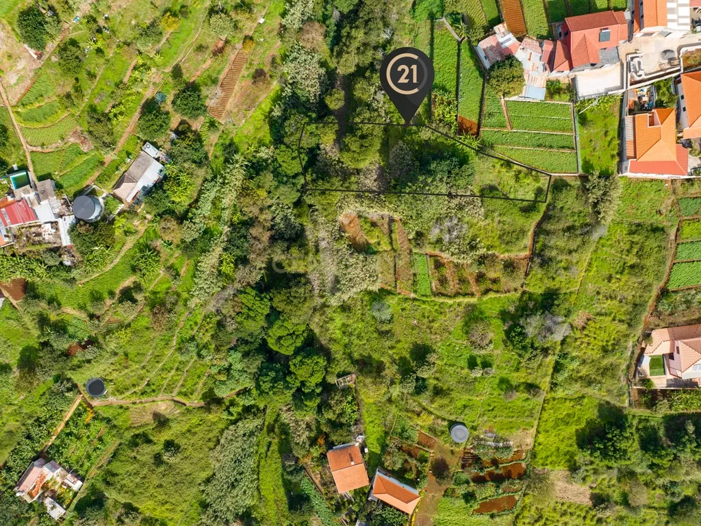Terreno Rústico Agroflorestal de 900 m2 - Santa Cruz, Madeira - Image 7