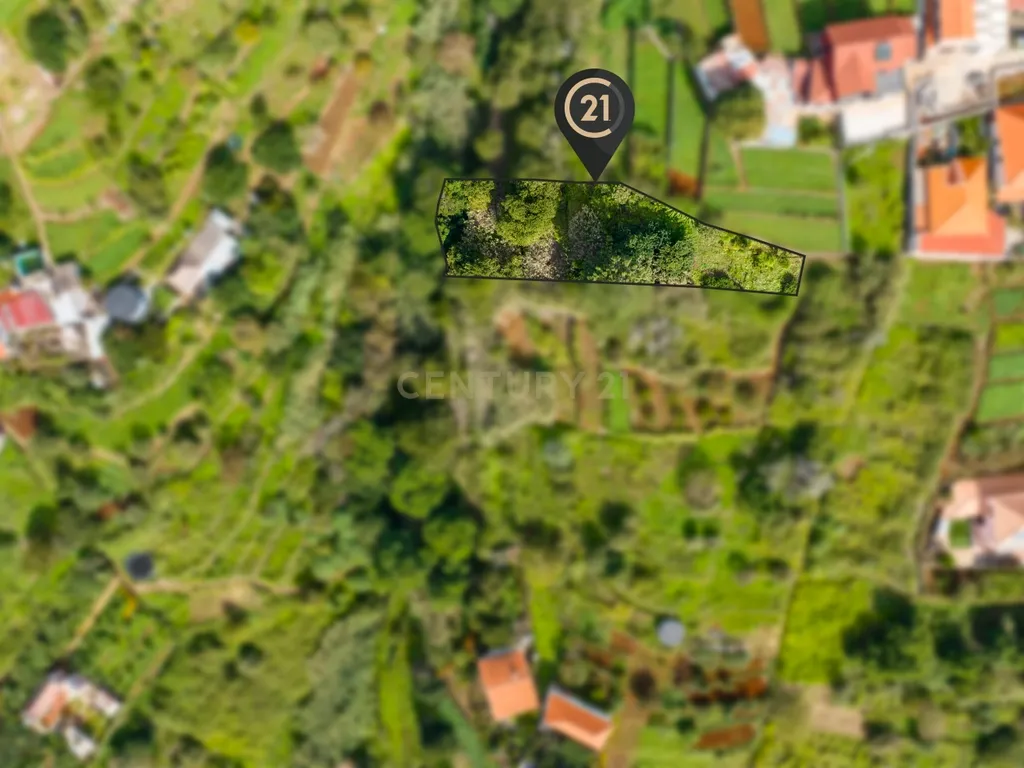 Terreno Rústico Agroflorestal de 900 m2 - Santa Cruz, Madeira - Image 8