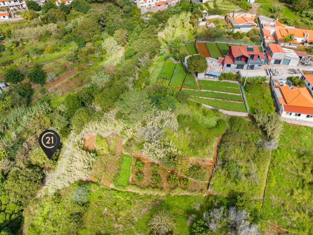 Terreno Rústico Agroflorestal de 730 m2 - Santa Cruz, Madeira - Image 8
