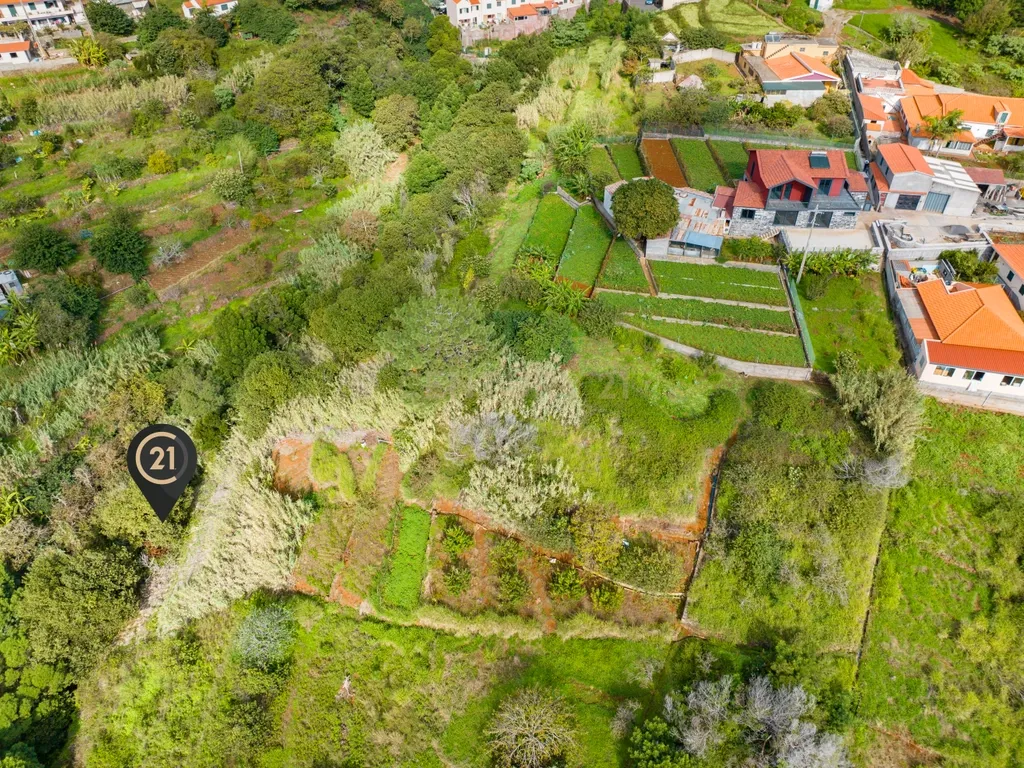 Terreno Rústico Agroflorestal de 730 m2 - Santa Cruz, Madeira - Image 8