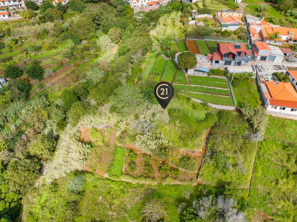 Terreno Rústico Agroflorestal de 900 m2 - Santa Cruz, Madeira - Image 5