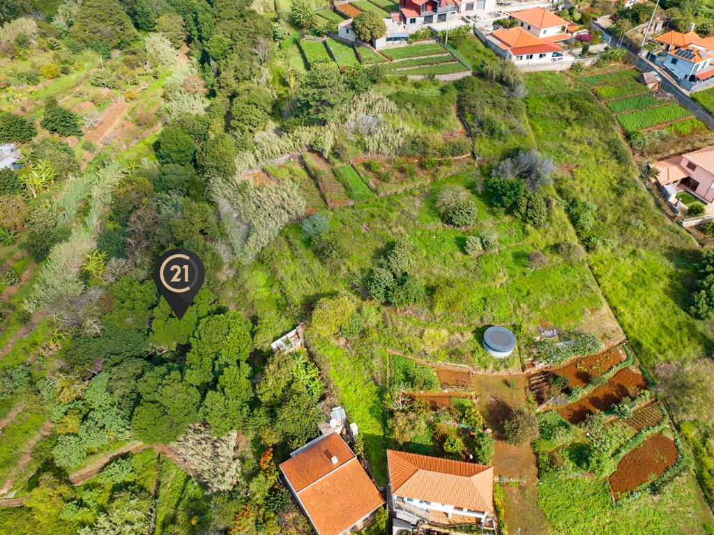 Terreno Rústico Agroflorestal de 730 m2 - Santa Cruz, Madeira - Image 3