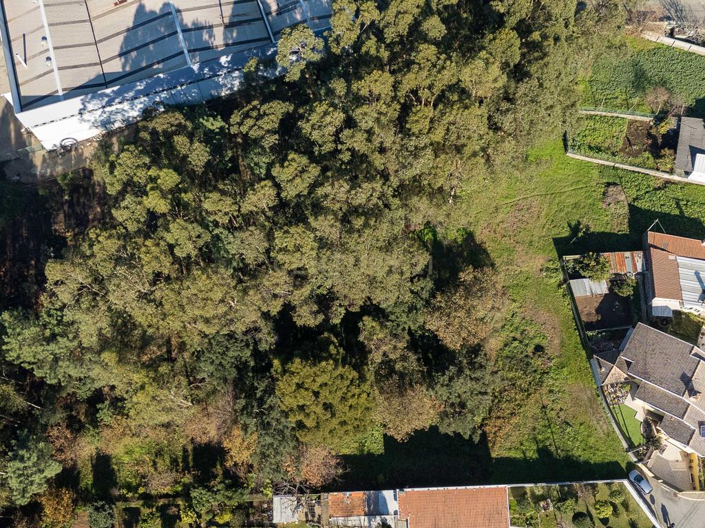 Terreno com 1480m2 em Rio Meão - Image 6