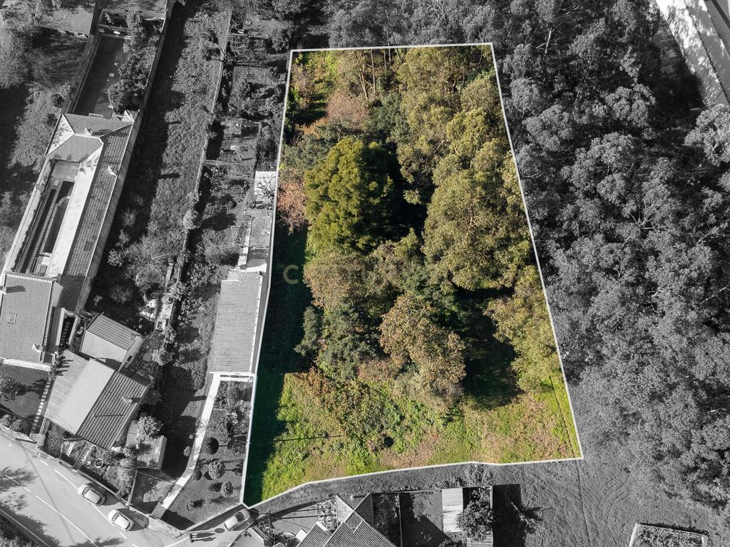 Terreno com 1480m2 em Rio Meão - Image 2