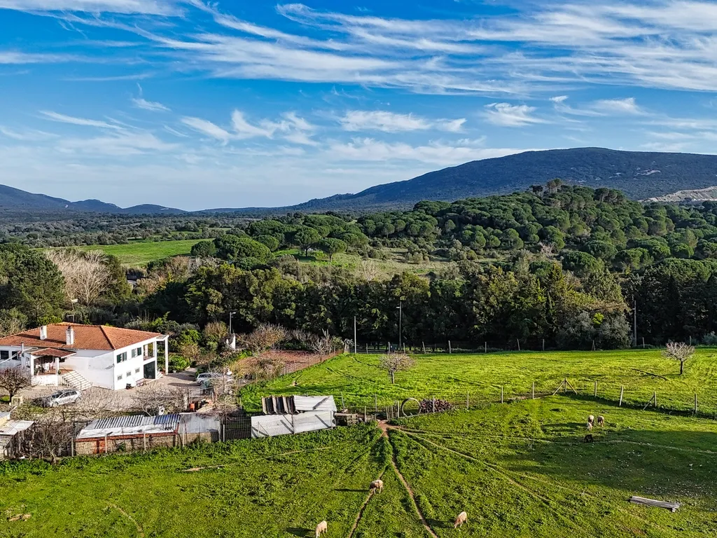 Sesimbra, Terreno para construção - Área: 10.658m2 - Image 17