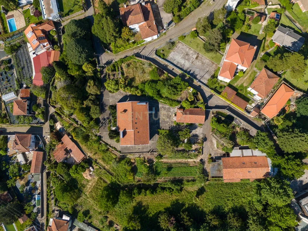 Quinta Vila Progresso - Image 3