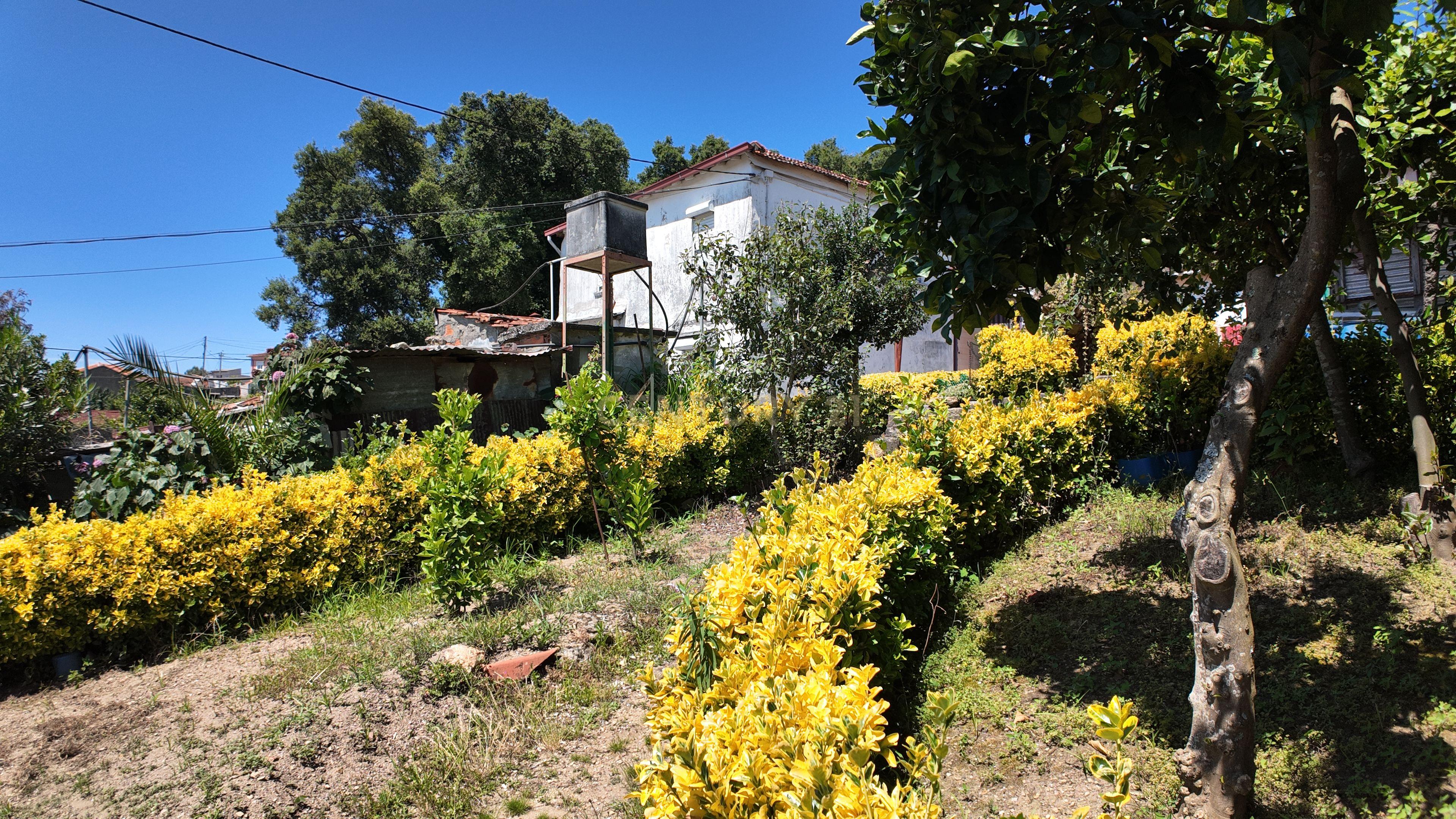 Moradia T4 Centro de Gondomar - Image 9