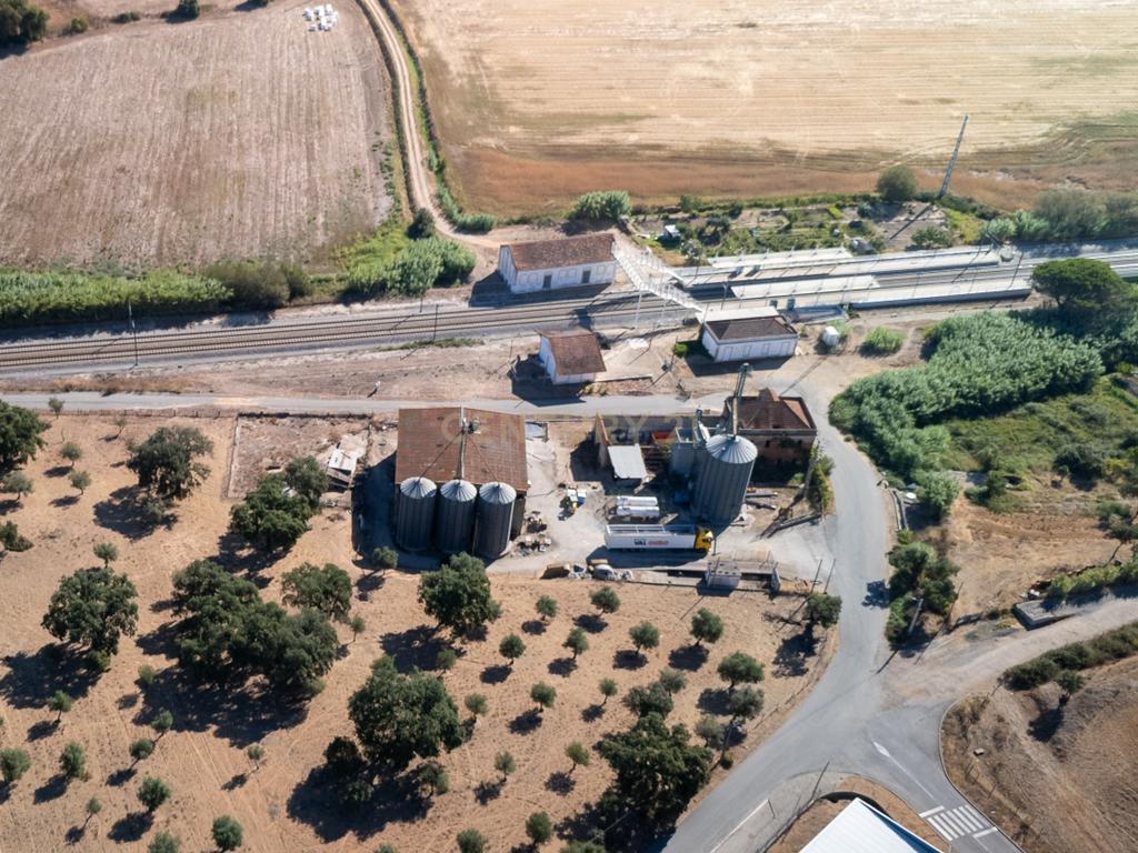 Armazém com negócio de secagem de cereais em funcionamento em Santiago do Cacém - Alvalade do Sado - Image 2