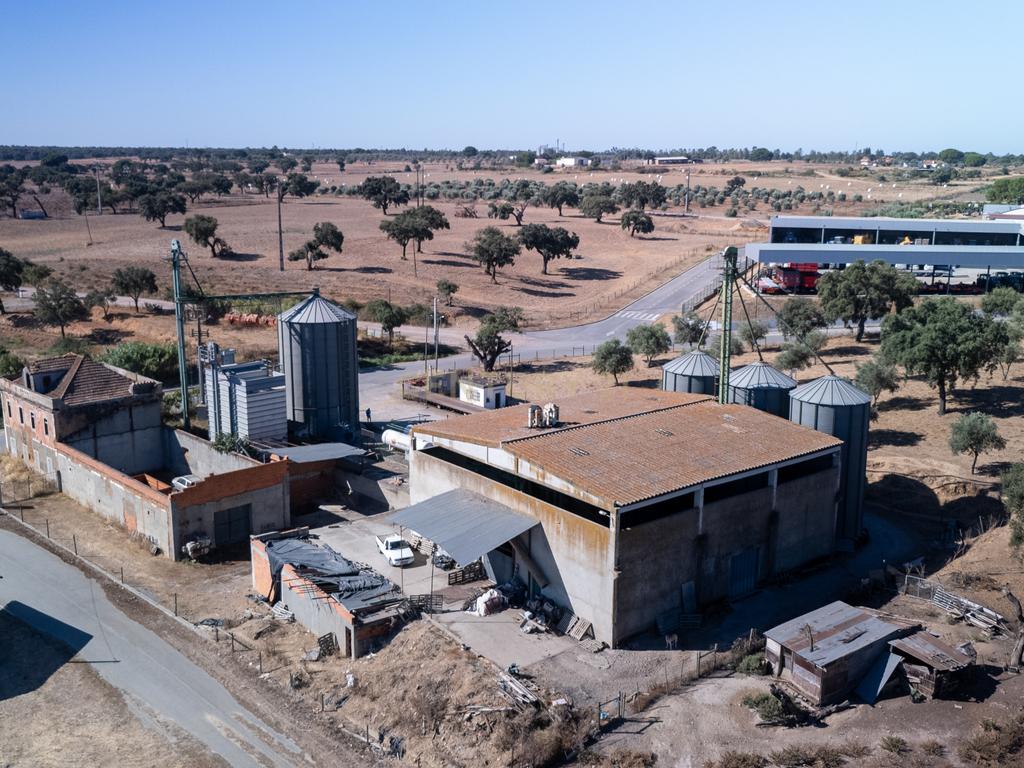 Armazém com negócio de secagem de cereais em funcionamento em Santiago do Cacém - Alvalade do Sado - Image 17