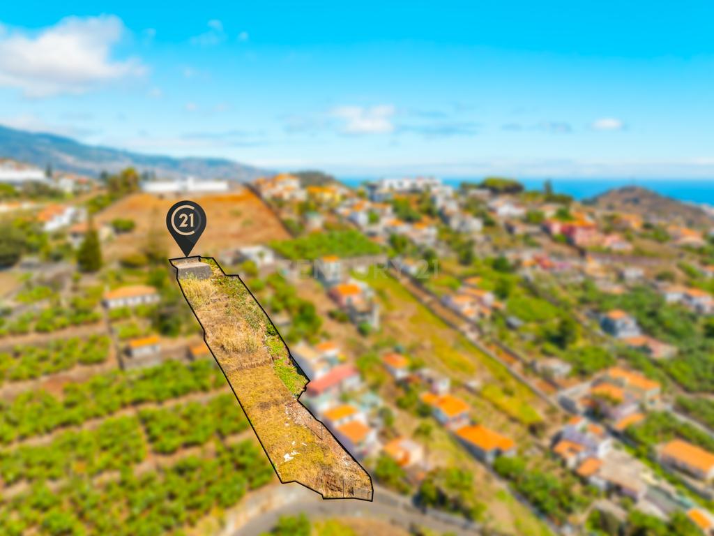 Oportunidade de Investimento – Terreno à Venda em Santa Rita, Funchal - Image 8