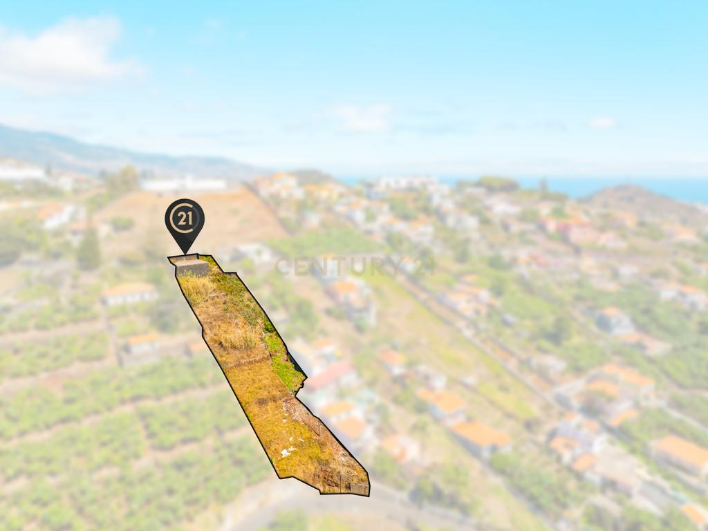 Oportunidade de Investimento – Terreno à Venda em Santa Rita, Funchal - Image 5