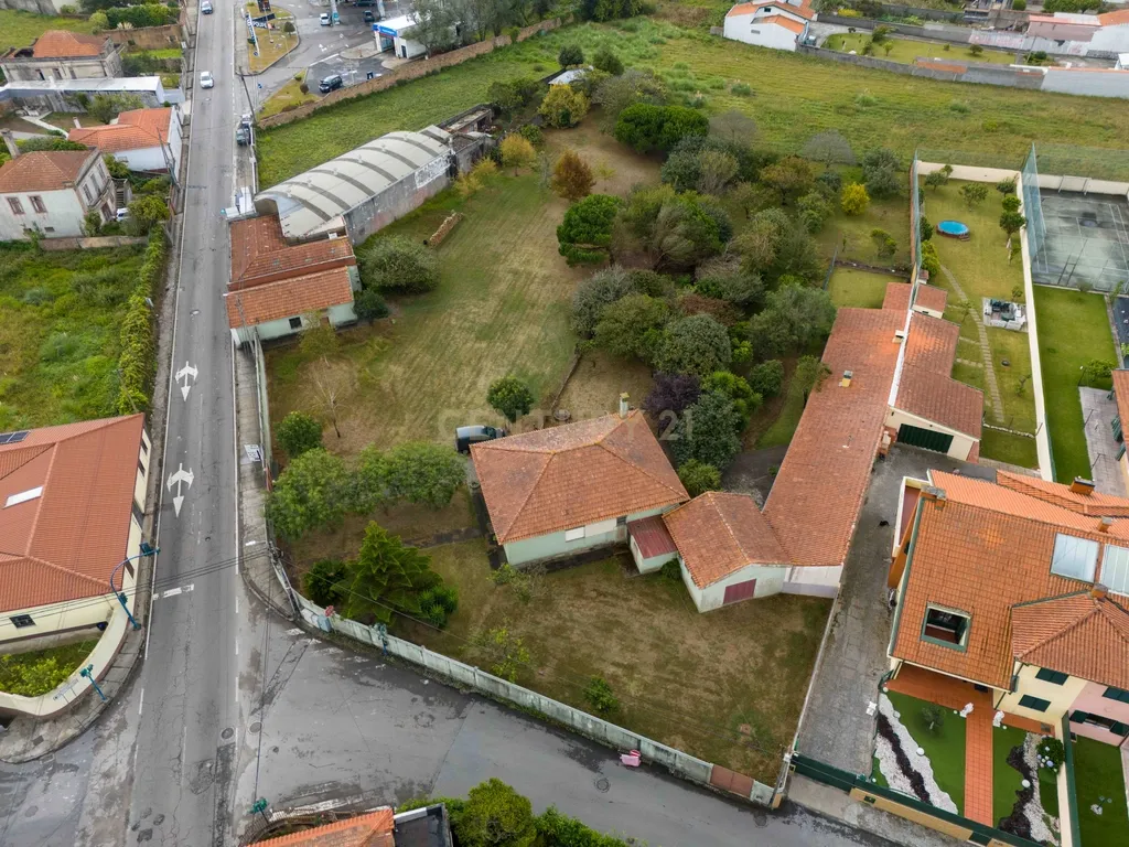 Quinta com 2 Habitações, Terreno e Pomar - Image 23