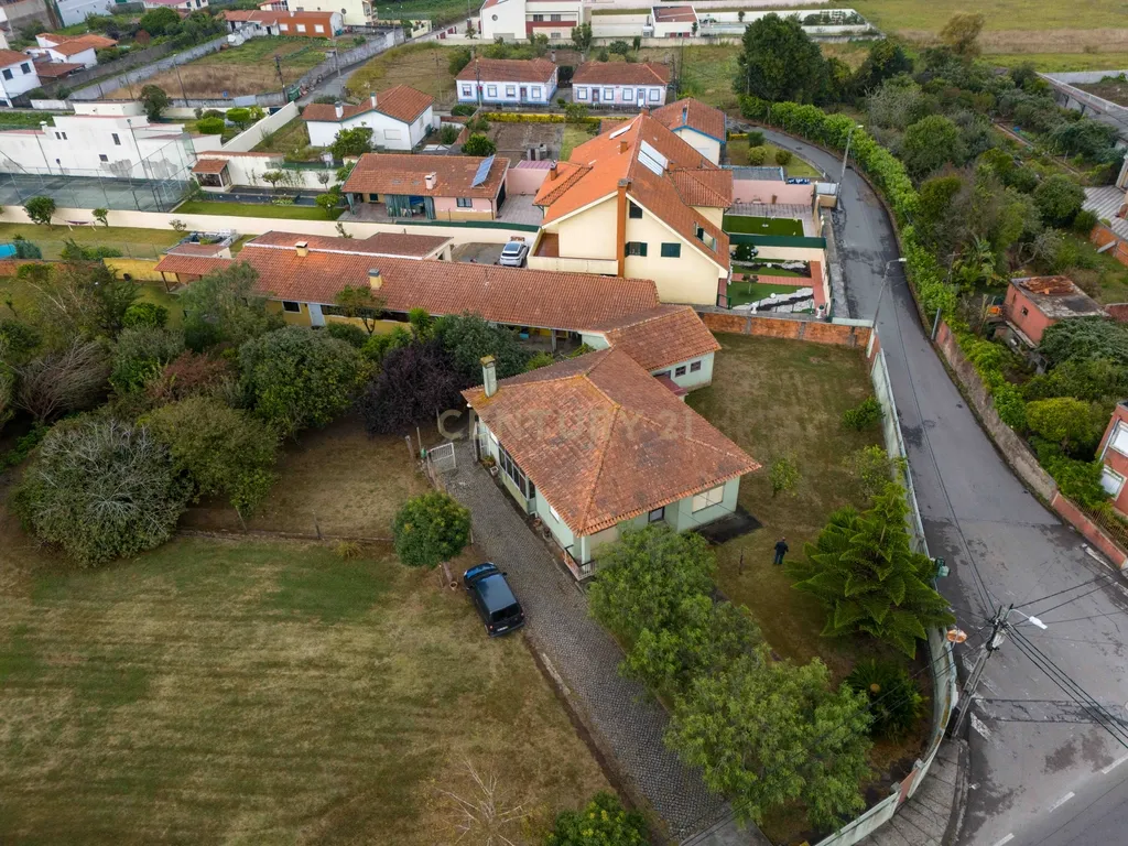 Quinta com 2 Habitações, Terreno e Pomar - Image 25