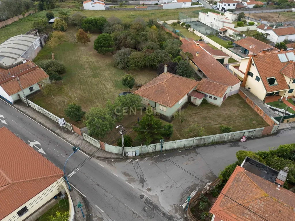 Quinta com 2 Habitações, Terreno e Pomar - Image 24