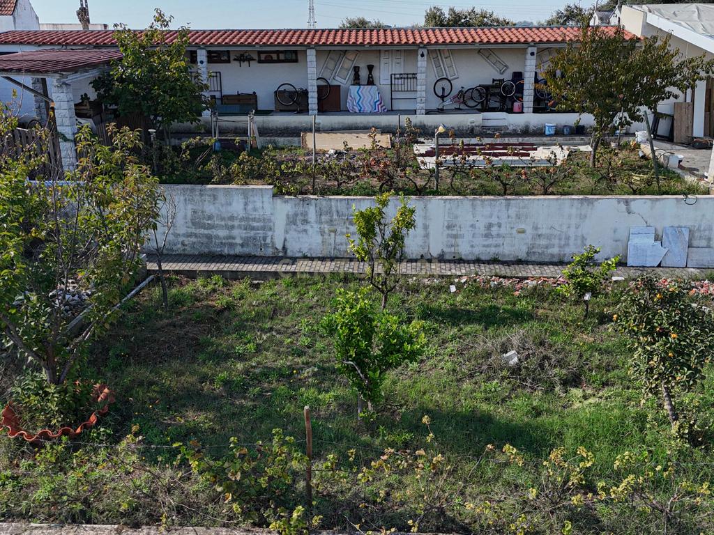 Moradia Independente com Piscina aquecida, Anexos e 3 BOXs (Riachos) - Image 85