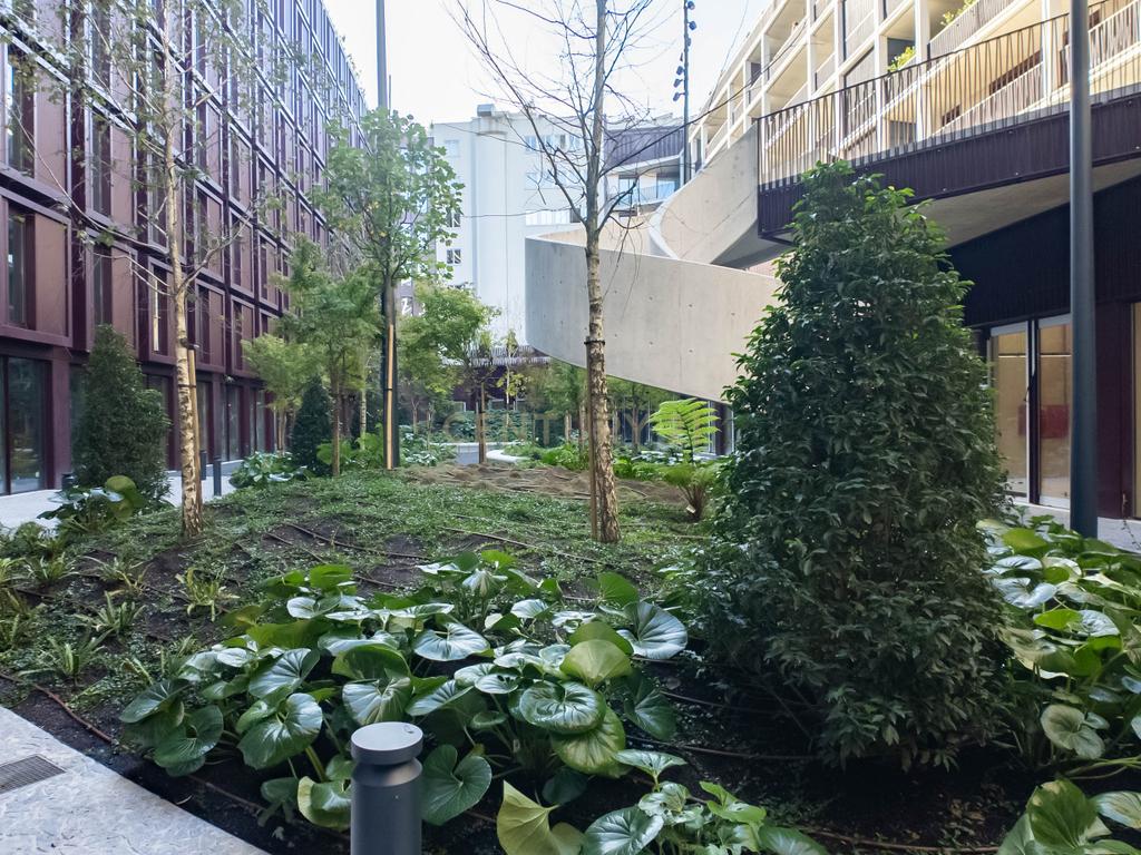 Apartamento T1 Novo I Condomínio Bonjardim I Arrendamento - Image 33