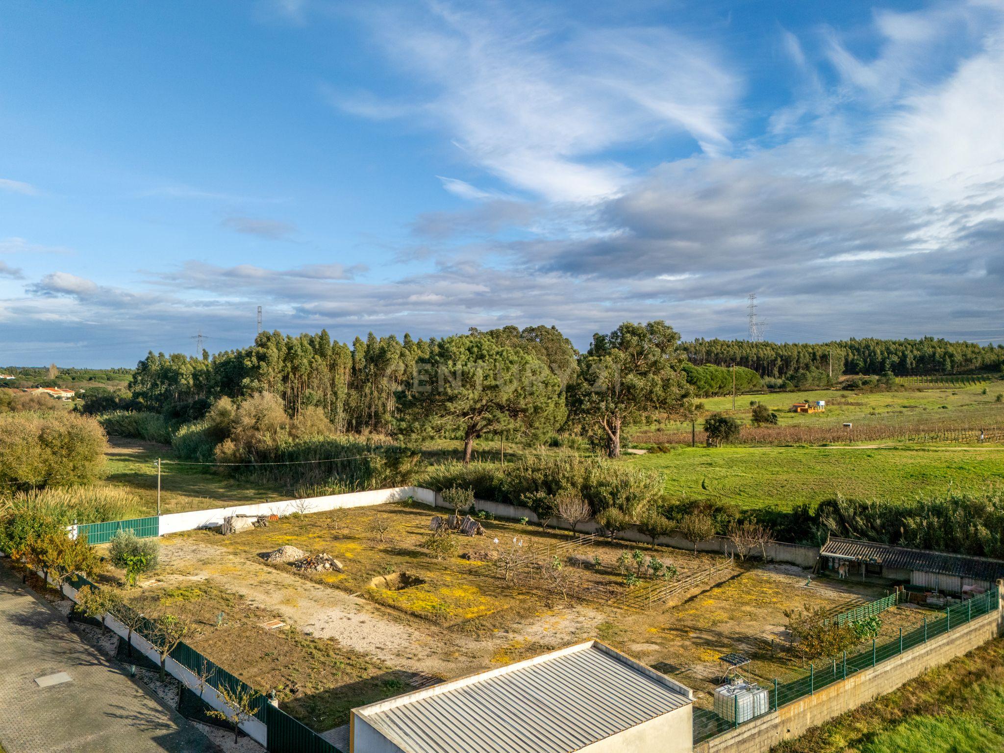 Moradia Típica Portuguesa com Jardim e Terrenos Privados – Alcoentre, Azambuja - Image 53
