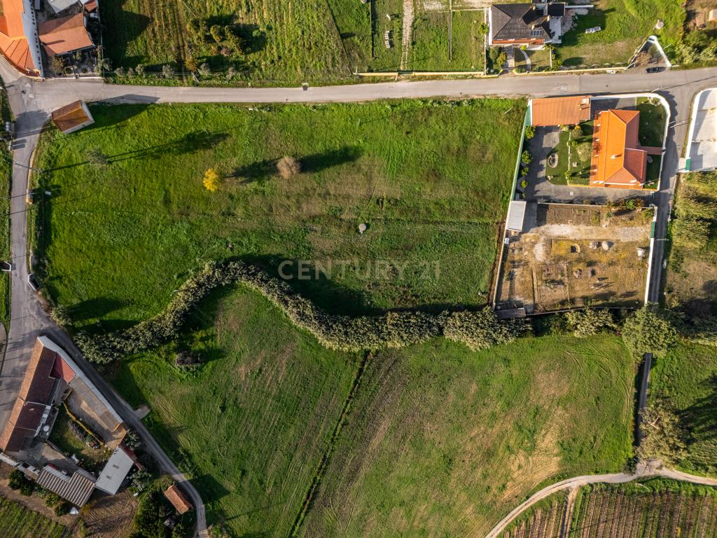 Moradia Típica Portuguesa com Jardim e Terrenos Privados – Alcoentre, Azambuja - Image 50