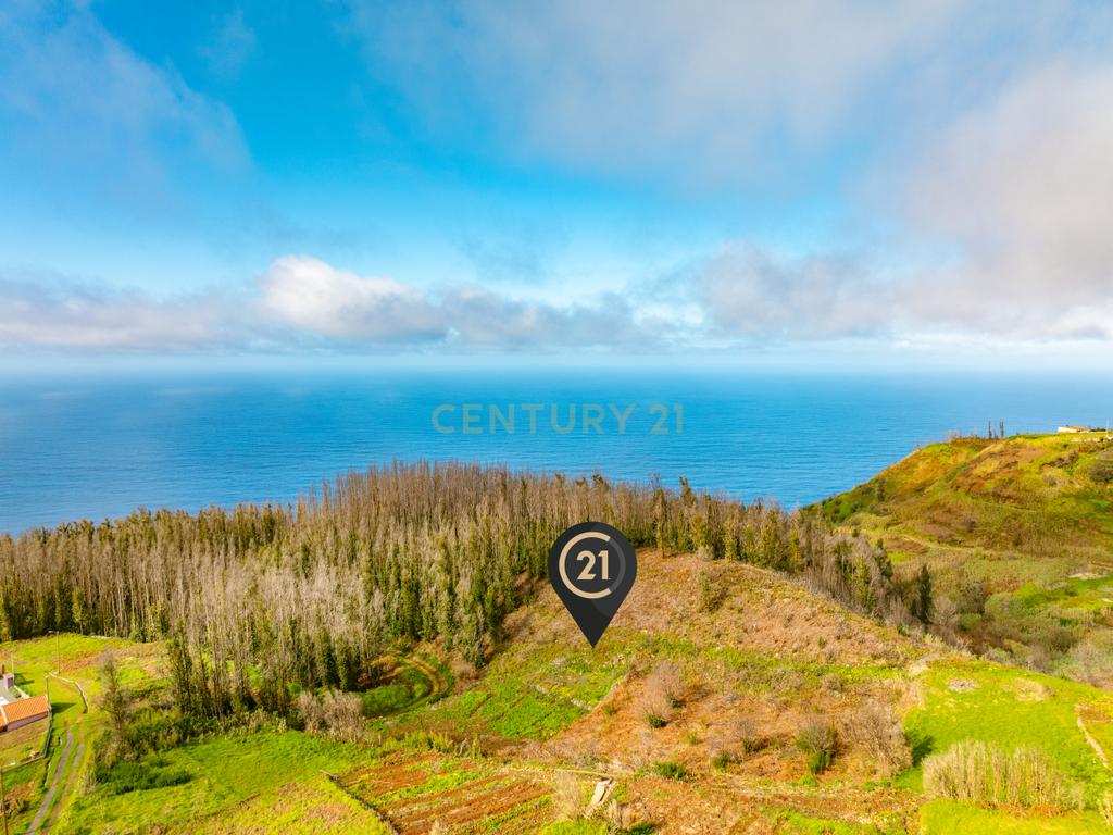 Terreno de 2.500 m² para Construção - Achadas da Cruz, Porto Moniz - Image 5