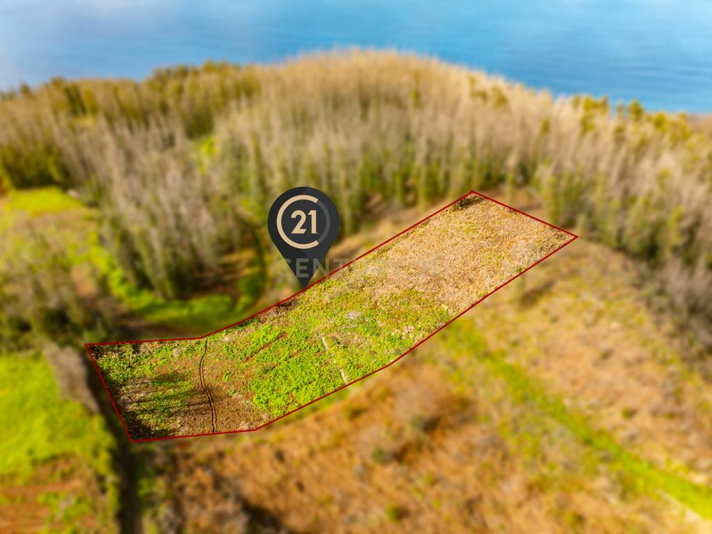 Terreno de 2.500 m² para Construção - Achadas da Cruz, Porto Moniz - Image 12