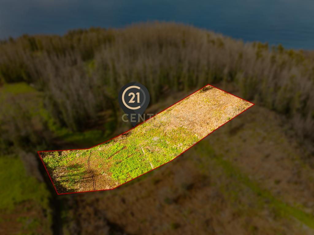 Terreno de 2.500 m² para Construção - Achadas da Cruz, Porto Moniz - Image 13