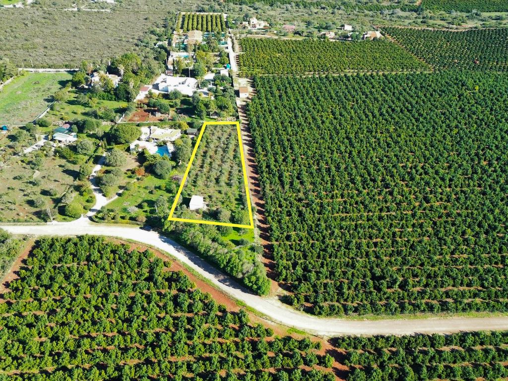 Terreno Construção | 2920 m2 | Foral | São Bartolomeu de Messines - Image 3
