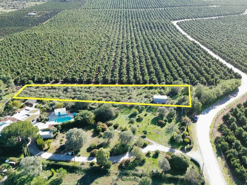 Terreno Construção | 2920 m2 | Foral | São Bartolomeu de Messines - Image 1