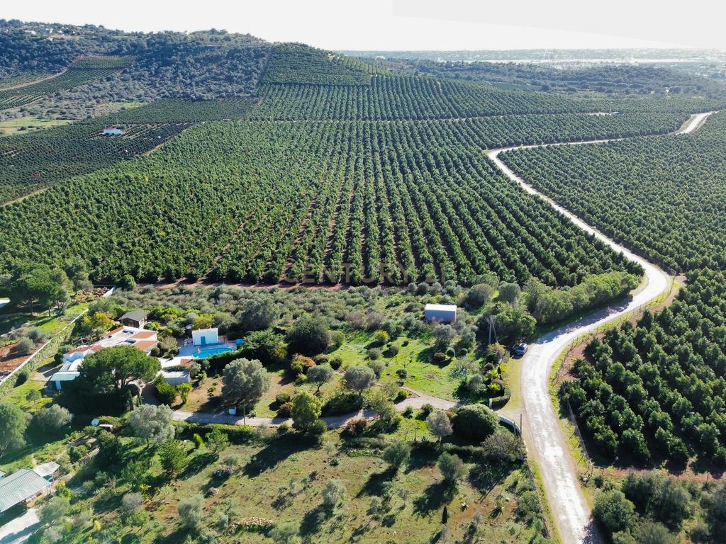 Terreno Construção | 2920 m2 | Foral | São Bartolomeu de Messines - Image 6