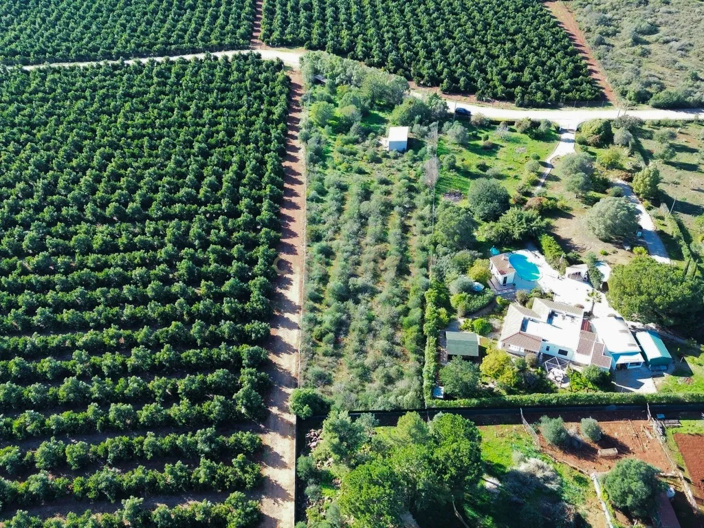 Terreno Construção | 2920 m2 | Foral | São Bartolomeu de Messines - Image 2