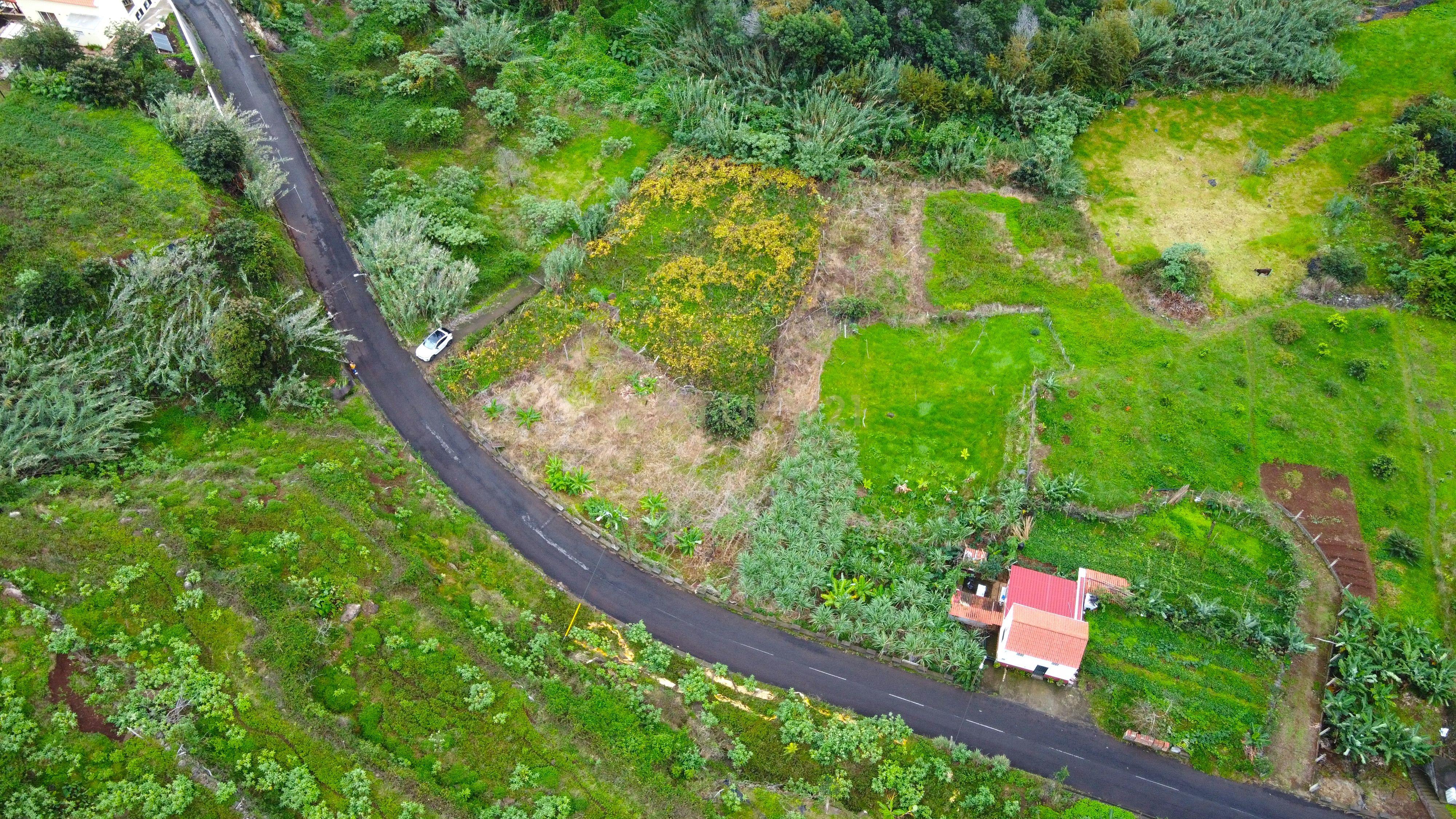 Terreno - São Jorge - Image 4