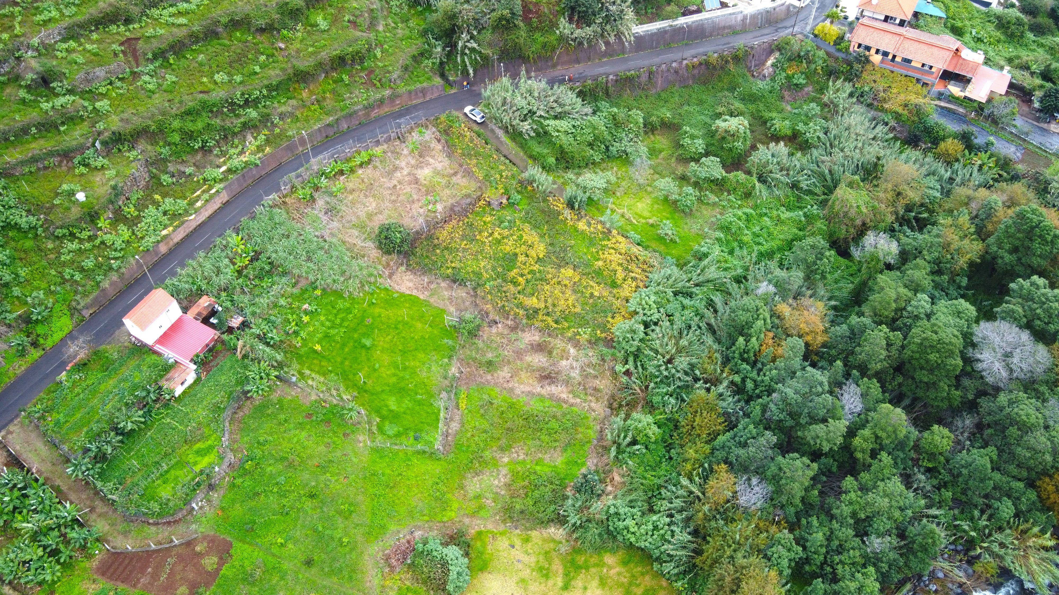 Terreno - São Jorge - Image 3