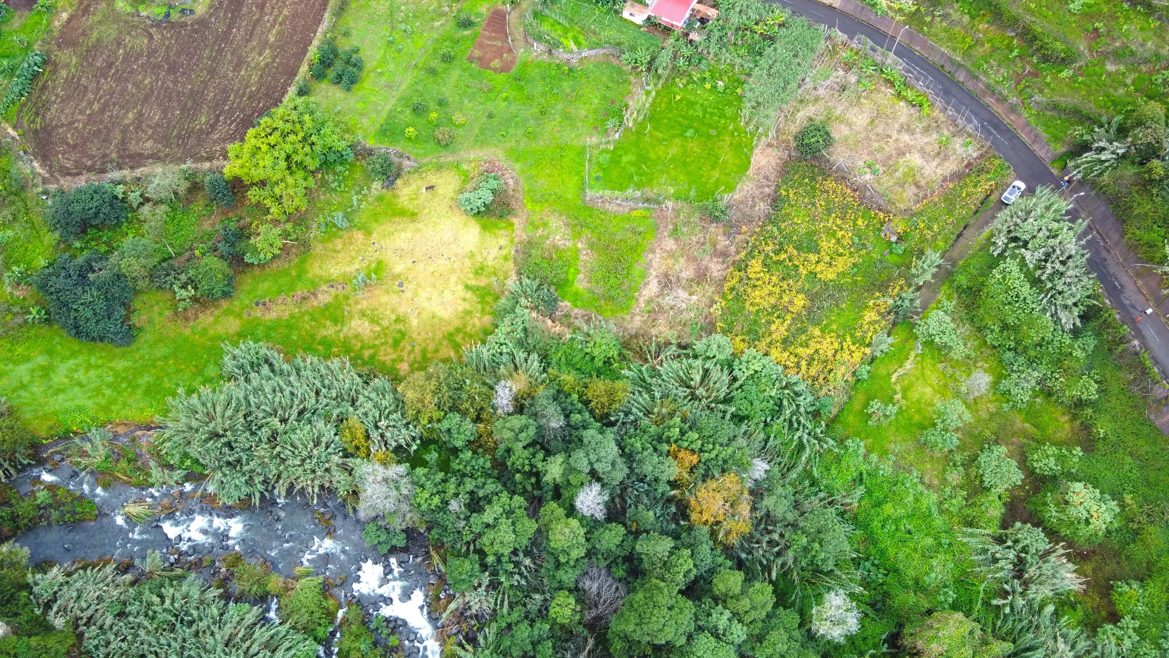 Terreno - São Jorge - Image 5