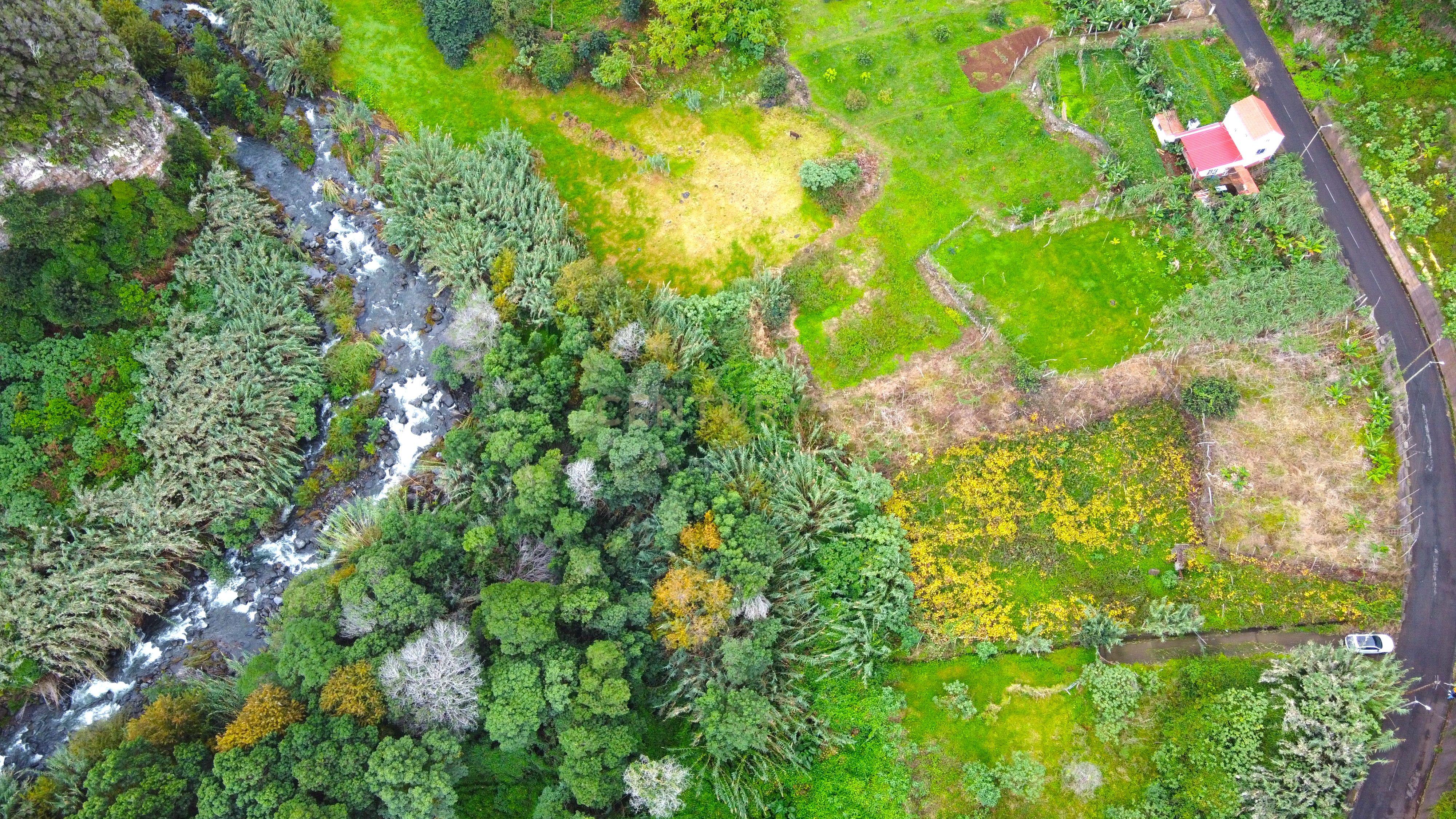 Terreno - São Jorge - Image 9