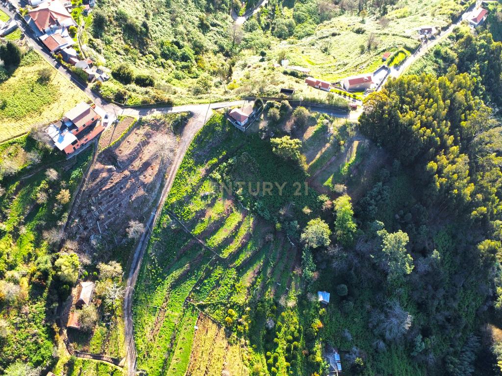 Moradia para recuperar - Santa Cruz - Image 9