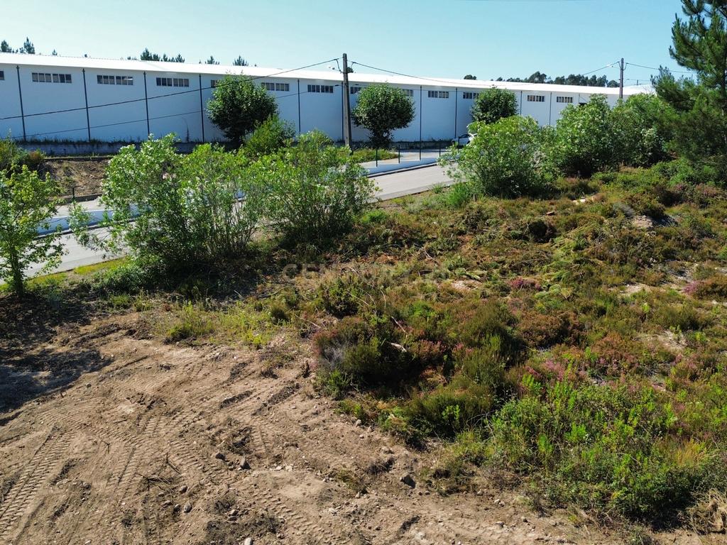 Excelente lote para construção em Albergaria dos Doze - Image 15