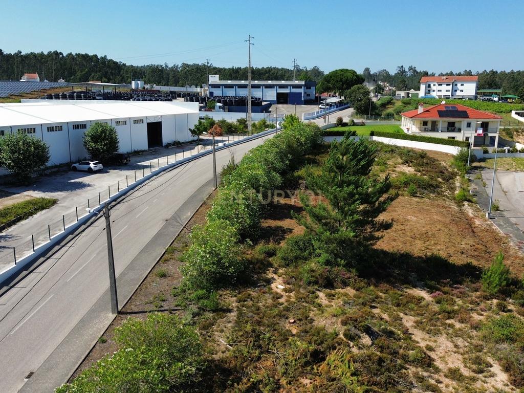 Excelente lote para construção em Albergaria dos Doze - Image 14