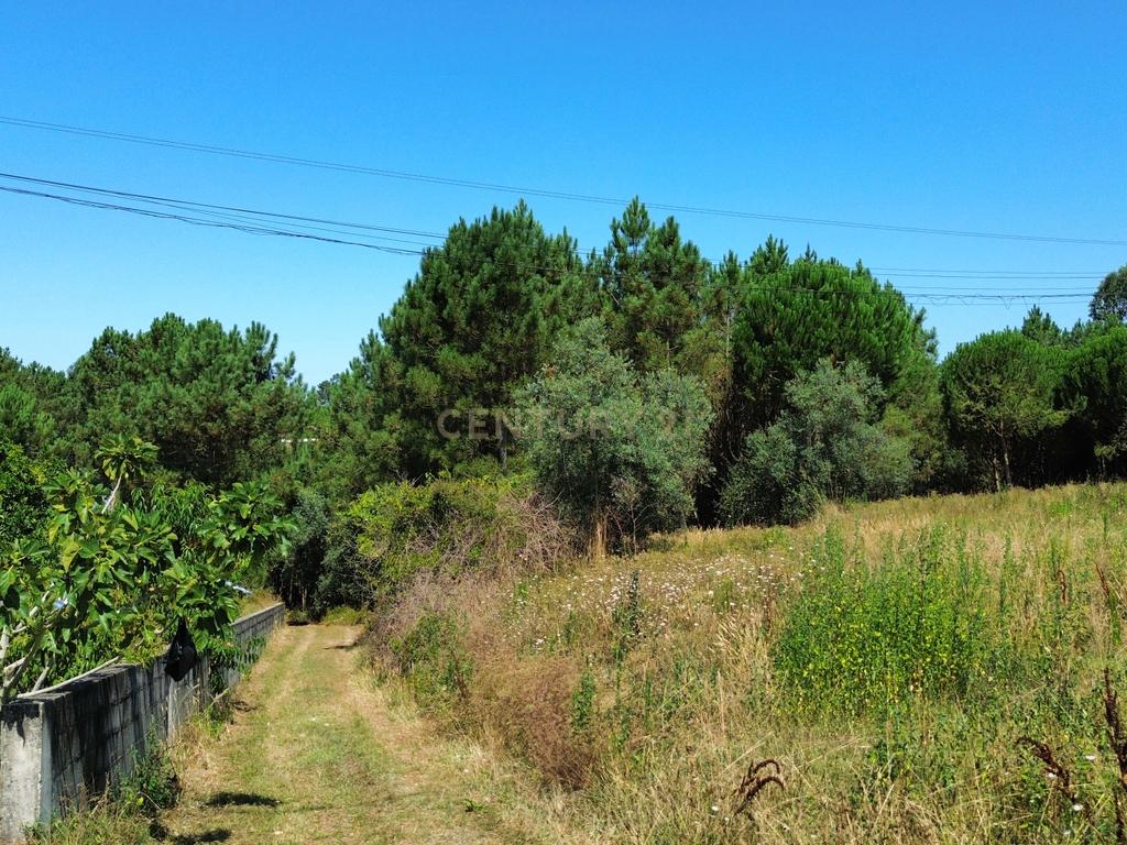 Terreno com 2020m2 para construção em Carnide - Image 5