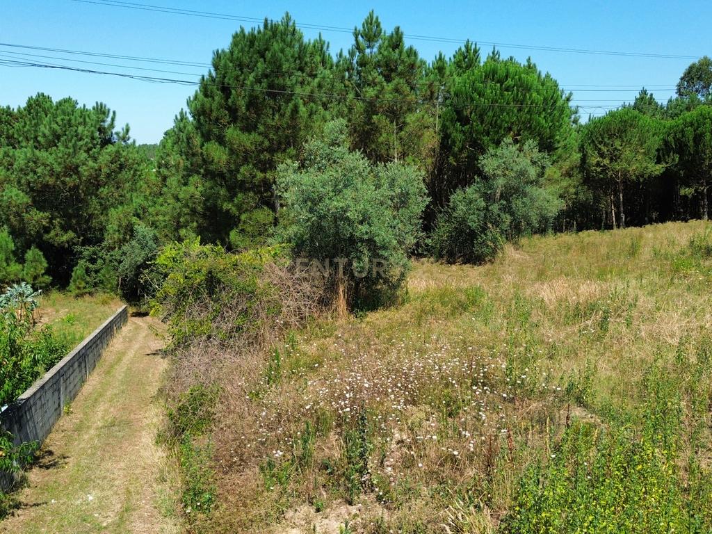 Terreno com 2020m2 para construção em Carnide - Image 2