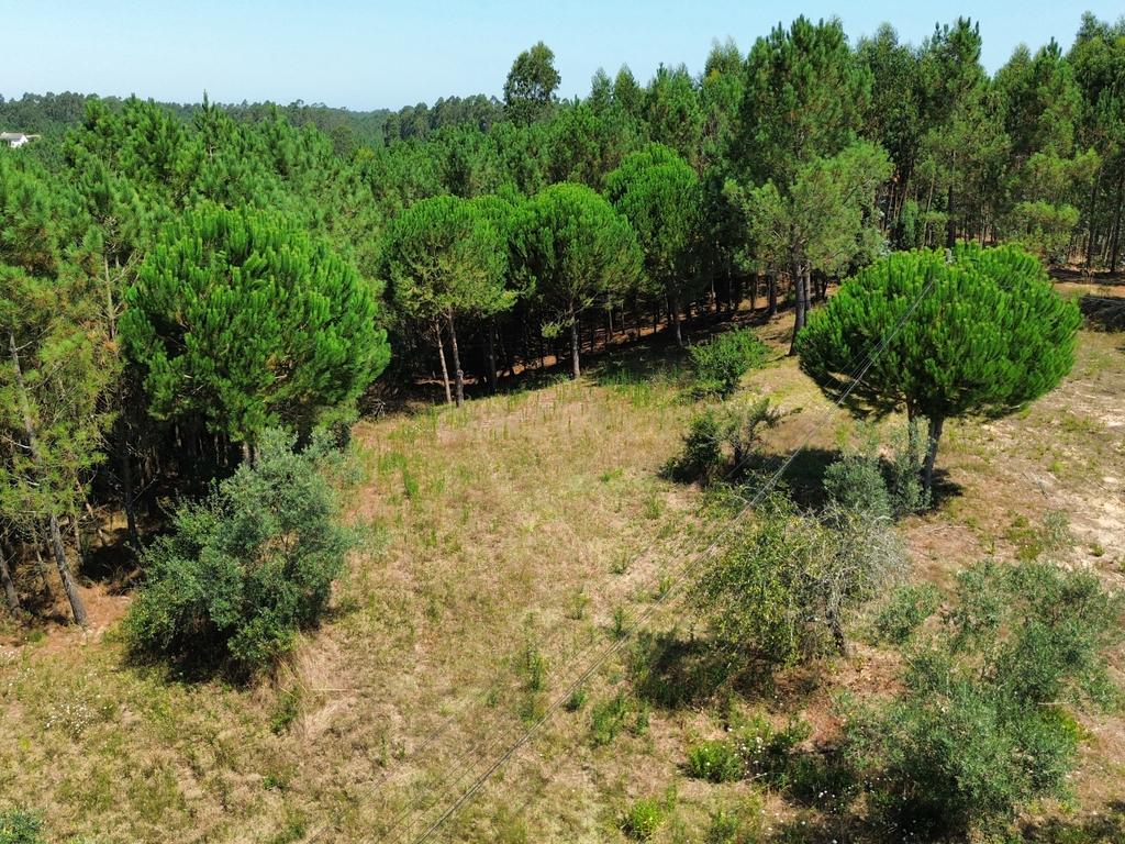 Terreno com 2020m2 para construção em Carnide - Image 6