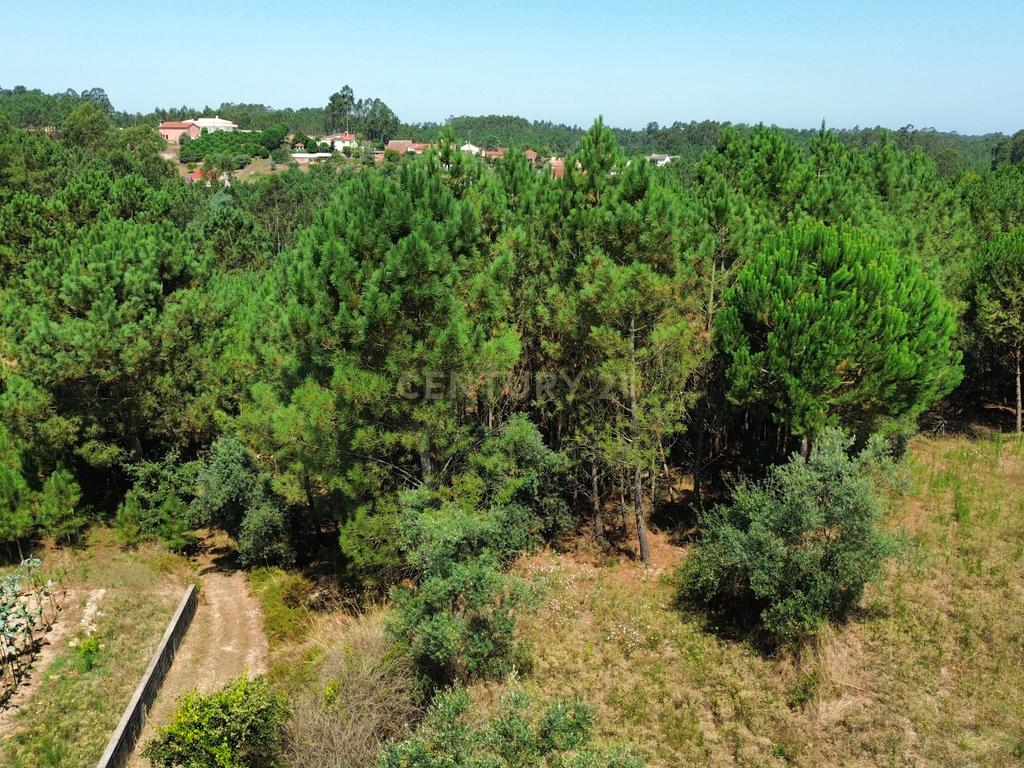 Terreno com 2020m2 para construção em Carnide - Image 3