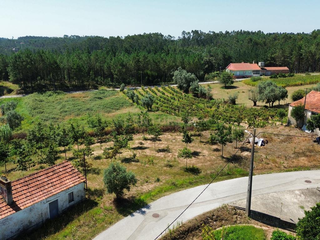 Terreno com 2020m2 para construção em Carnide - Image 12